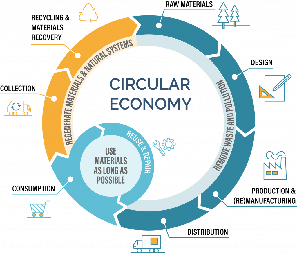 Illustration of the circular economy cycle, demonstrating how Terra Tag’s plantable and recycled name badges contribute to a sustainable, zero-waste event system