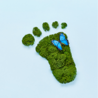 Footprint with a butterfly illustrating eco-friendly event marketing, highlighting Terra Tag’s sustainable plantable and recycled name badges and biodegradable lanyards