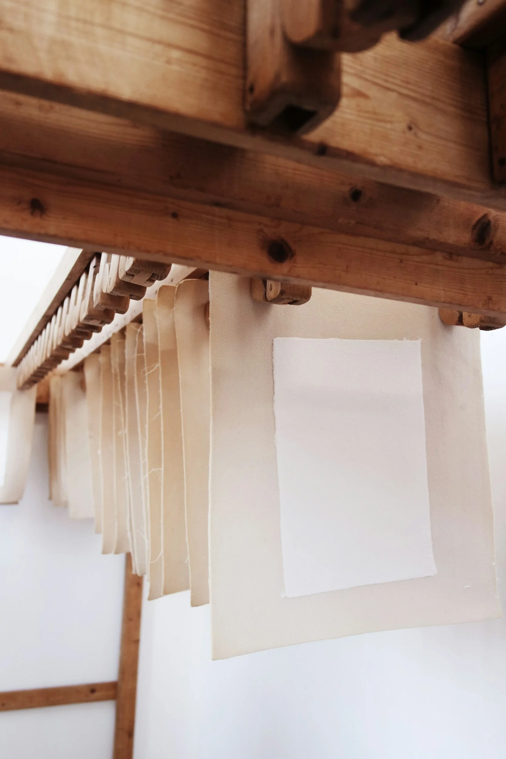 Handmade seed paper sheets drying naturally after production