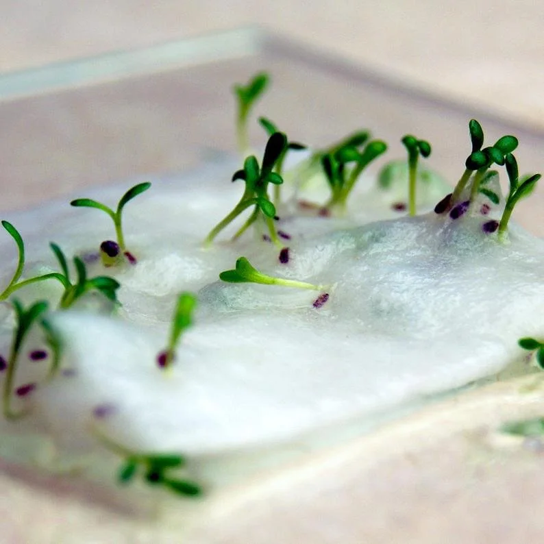 what is seed paper example — handmade seed paper Australia with visible seeds embedded