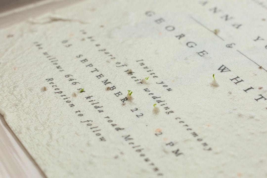 Seed paper wedding invitation sprouting seedlings as a creative use for seed paper