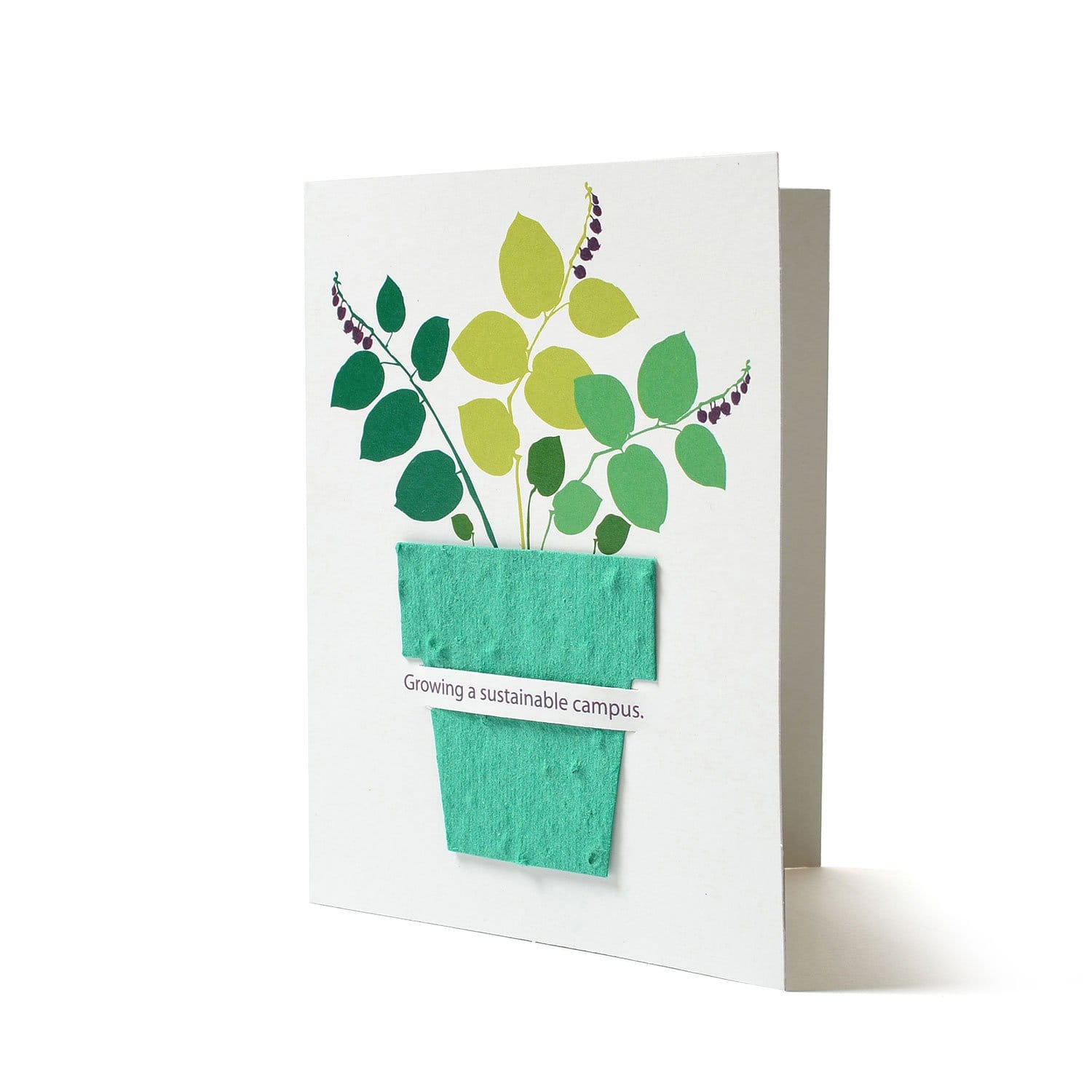 Greeting cards made with seed paper showing creative eco friendly design