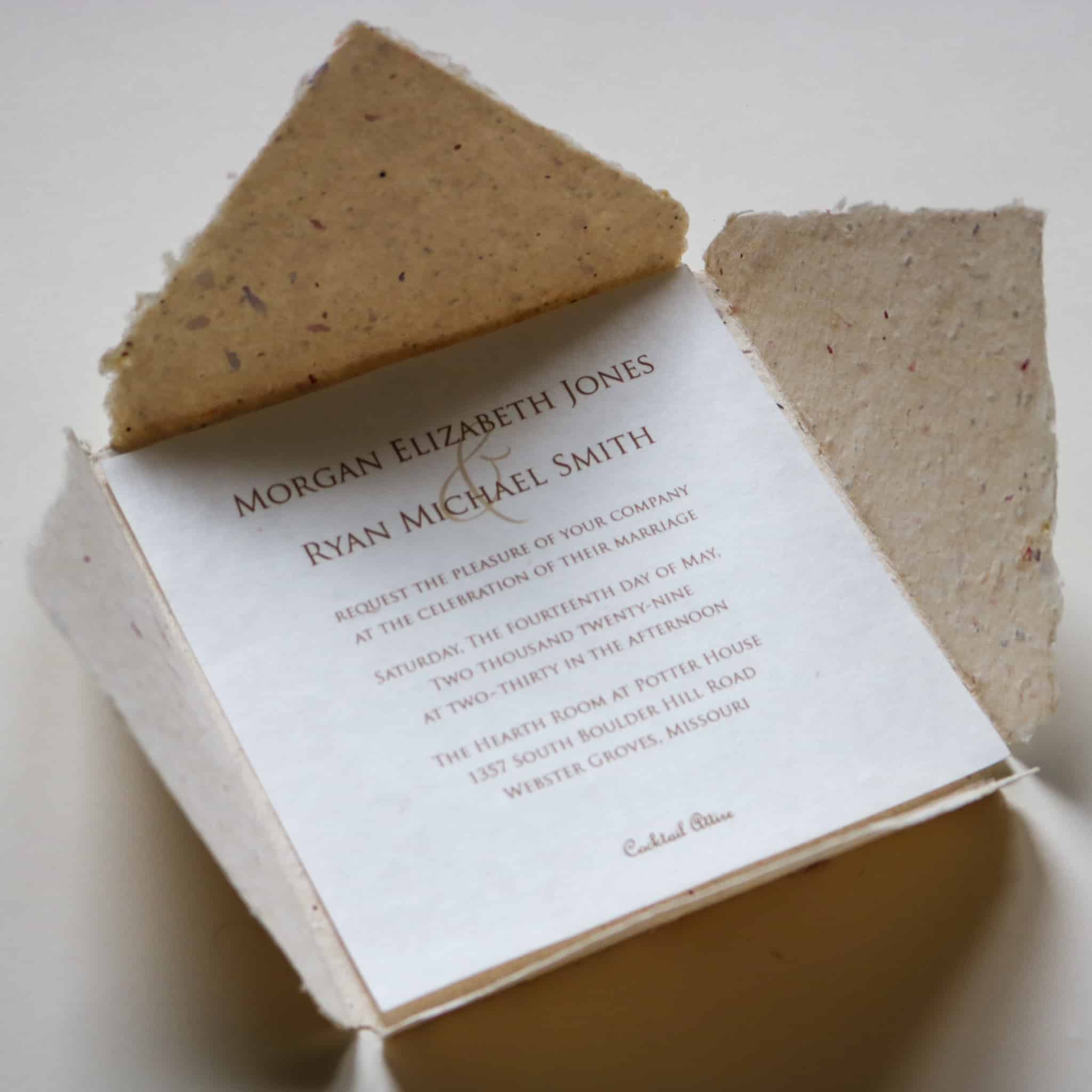 Seed paper wedding invitation sprouting seedlings as a creative use for seed paper