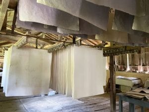 Handmade paper drying so embedded seeds remain viable