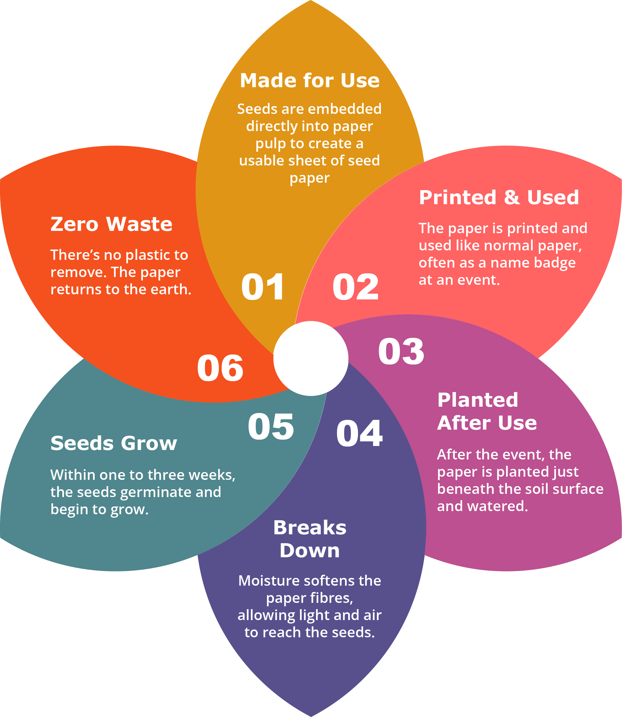 Lifecycle showing seed paper use at events through planting and growth