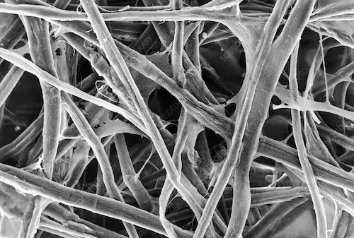 Close up of paper fibres designed to break down in soil