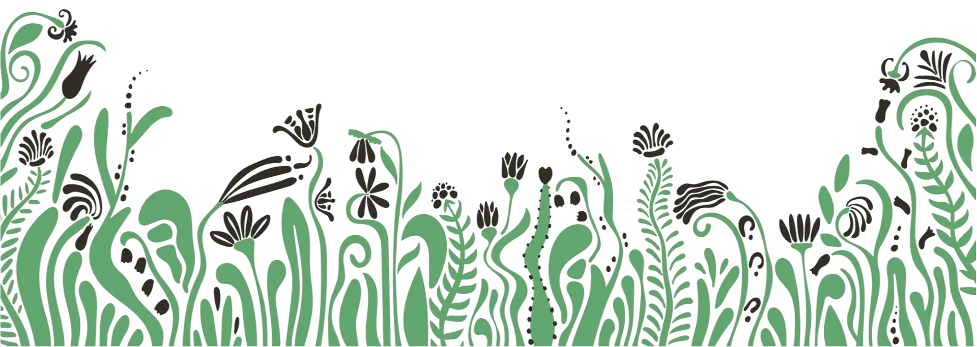 seed paper hero desktop 1