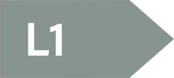 Layer 1 icon