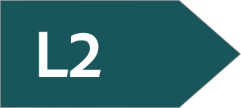 Layer 2 icon 1