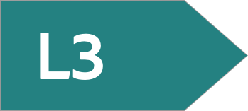 Layer 3 icon 1