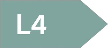 Layer 4 icon 1