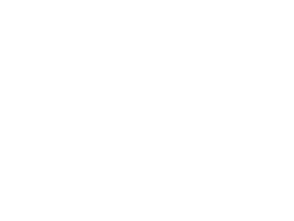 powerpoint icon